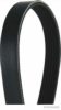 TOYOT PY0115909 V-Ribbed Belts